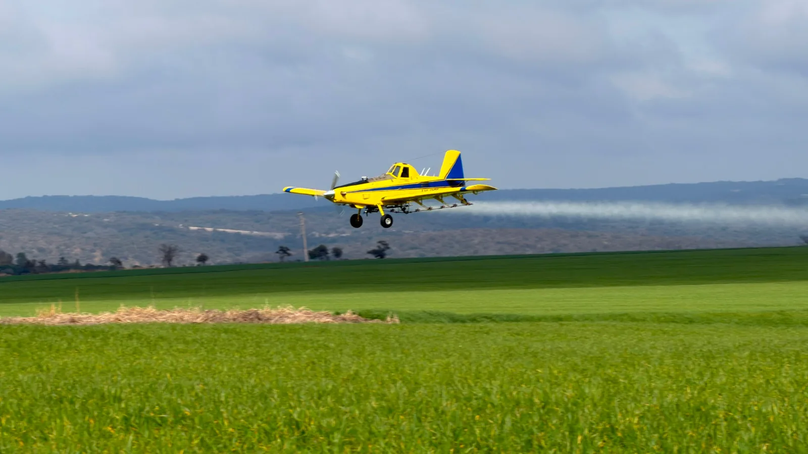 Avión agrícola de Livio S.A. sobre un lote verde